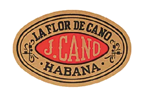 拉弗洛尔．德卡诺 La flor de Cano