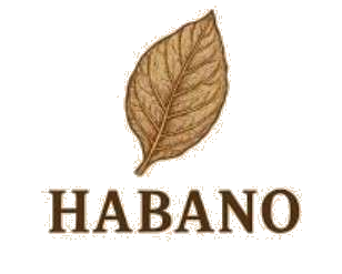 ๆญฃๅคๅทด็งๅญ Habano Seed