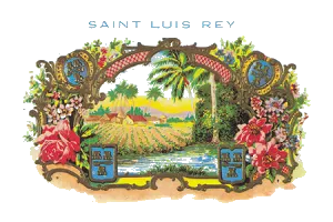 ๅฃ่ทฏๆๆฏ้ทไผ Saint Luis Rey