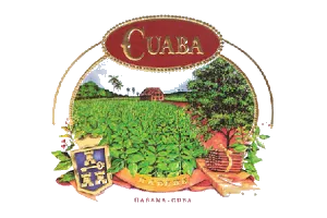 ๅบ้ฟๅทด Cuaba